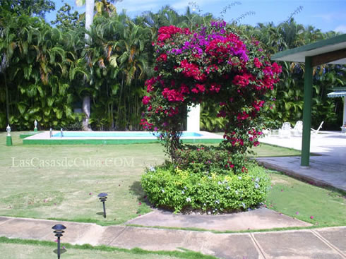 Casa con piscina en Cuba +5352763982 Le o - Imagen 3